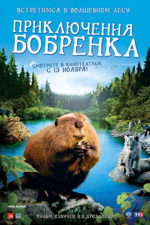 Приключения бобрёнка онлайн