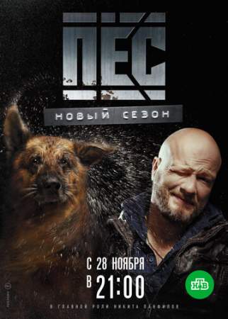 Пес# онлайн