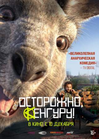 Осторожно, Кенгуру! онлайн