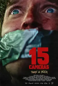 15 камер онлайн