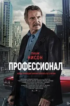Профессионал онлайн